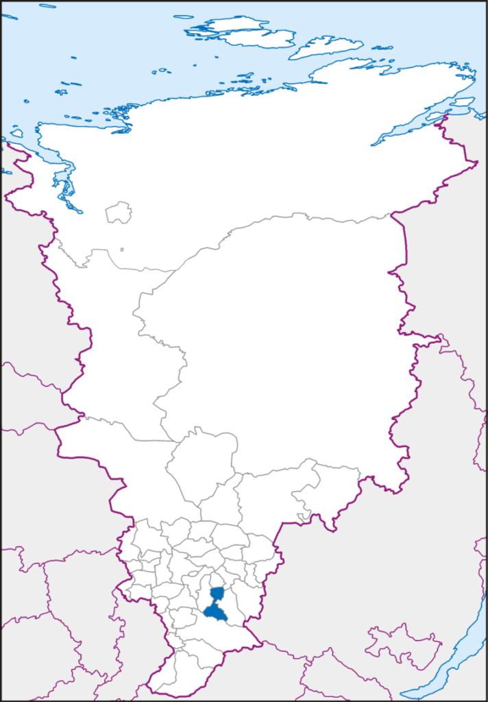Партизанский район